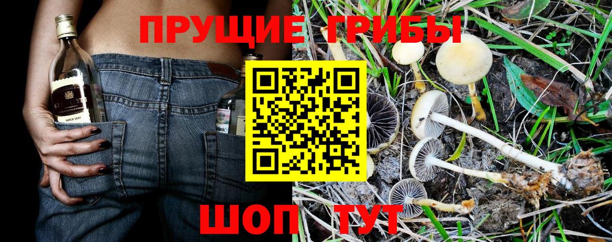 Галлюциногенные грибы ЛСД Клинцы