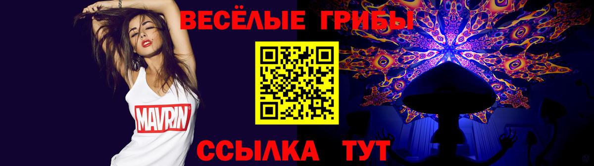Клинцы  Псилоцибиновые грибы Magic Shrooms  Псилоцибиновые грибы GOLDEN TEACHER  Вход с VPN 